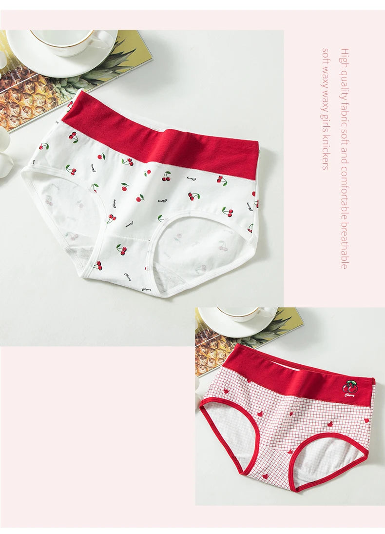 4Pcs Women Cotton Panties High Waist Underwear Print Ladies Briefs Soft Underpants Breathable Plus Size M-4XL Sexy Lingerie