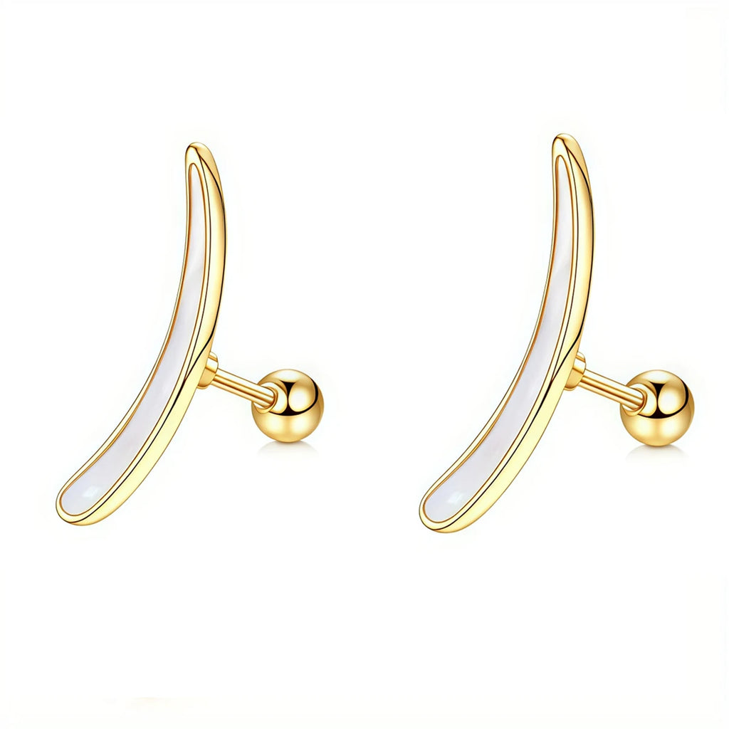 2Pcs 16G Stainless Steel Screw Back Stud Earrings for Women,Cubic Zerconia Cartilage Conch Helix Ear Piercing Jewelry