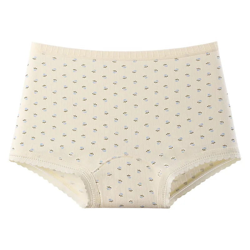 Women's Breathable Lace Panties Traceless Boxer Briefs Soft Mid-Rise Comfortable Underwear Sexy Intimates