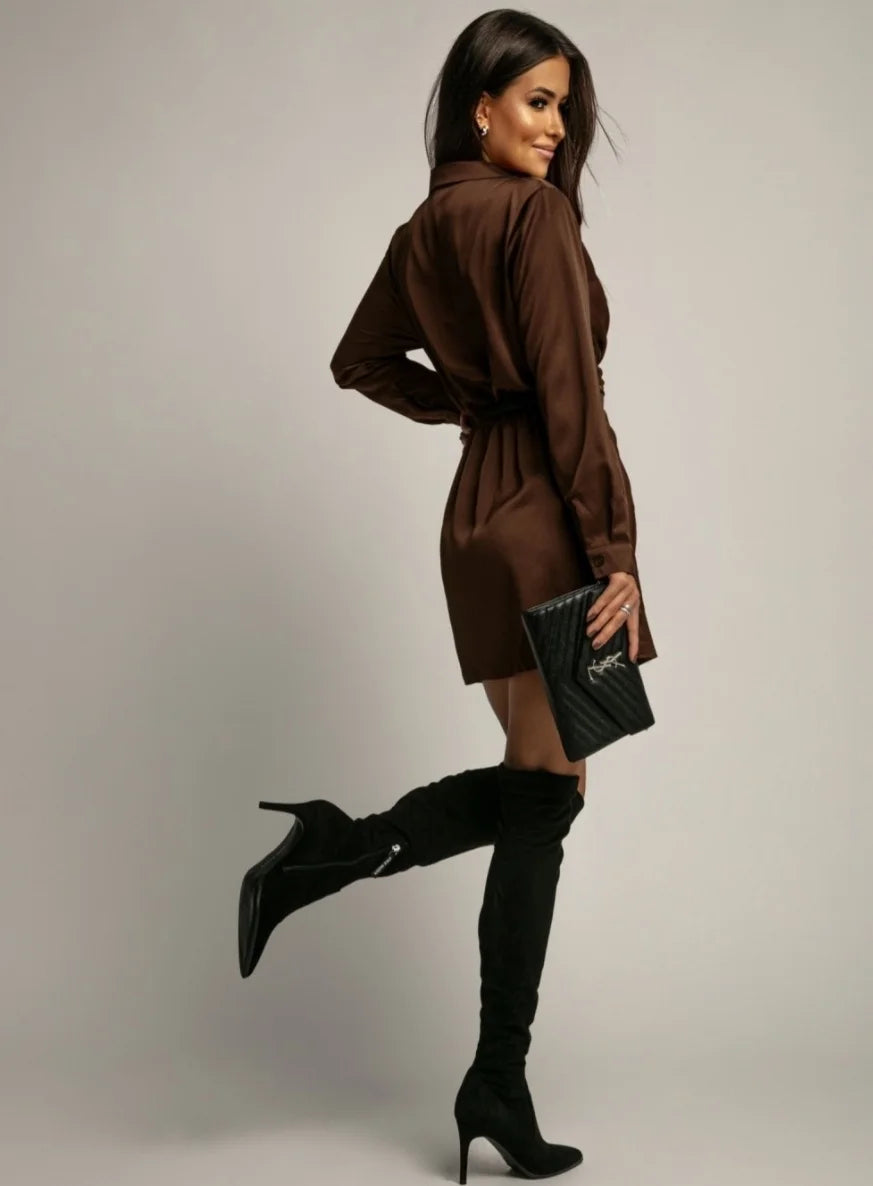 Sophisticated Satin Shirt Dress - Elegant Fitted Mini Dress with Long Sleeves & Collar Perfect for Evening Events